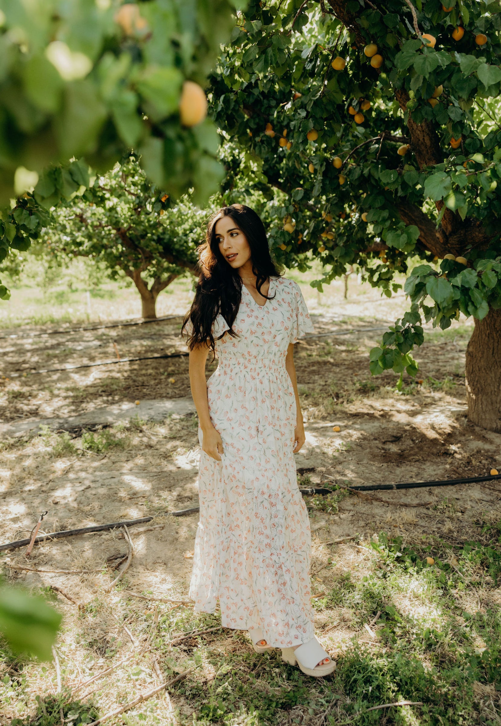 modest maxi dresses summer The Whimsy Summer Dress