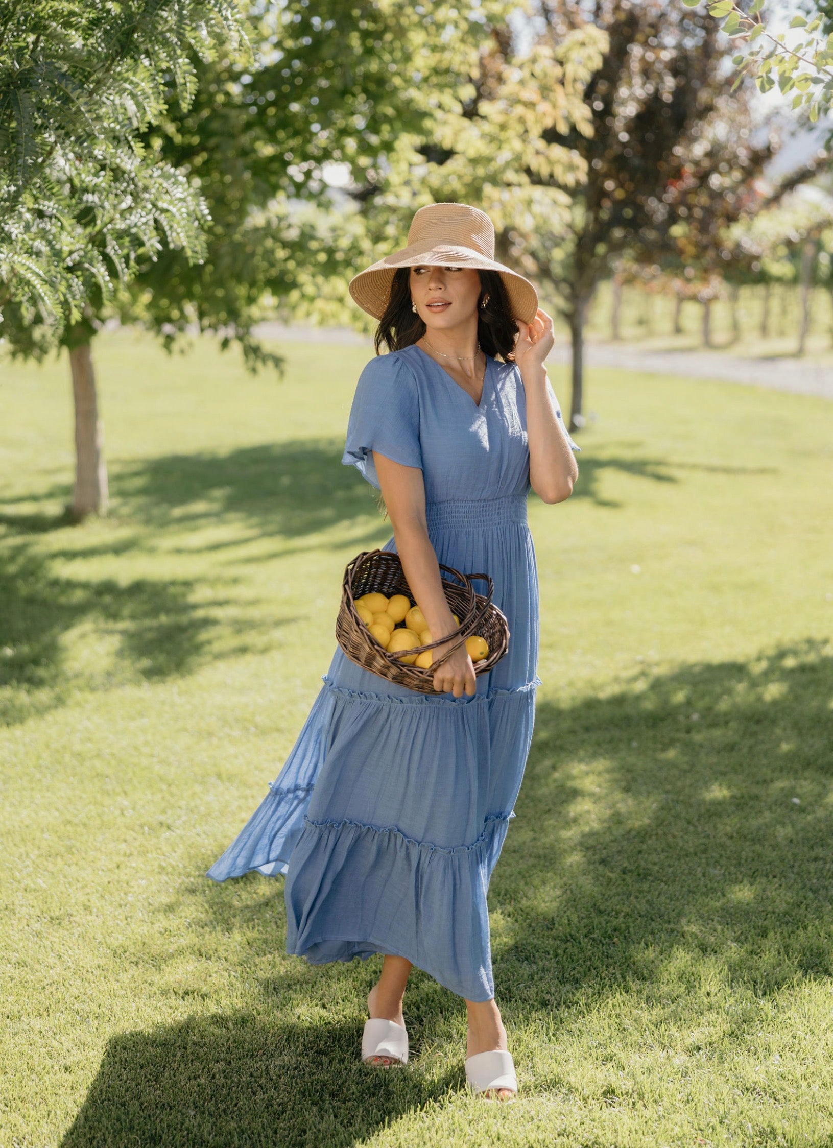 Taylor modest maxi dress JanieLanie Taylor modest maxi dress JanieLanie