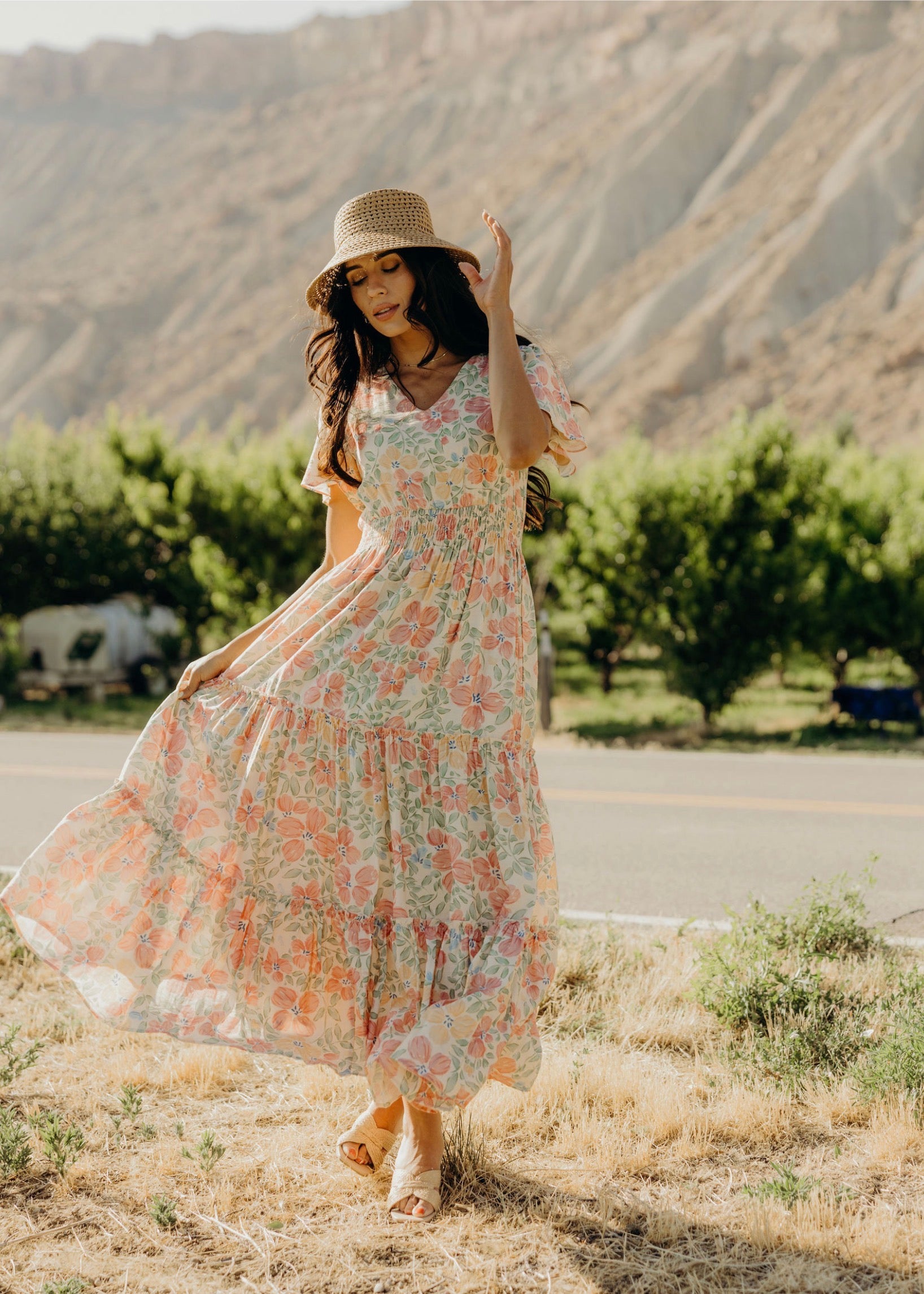 Eden modest maxi dress in spring sonata-NEW – JanieLanie