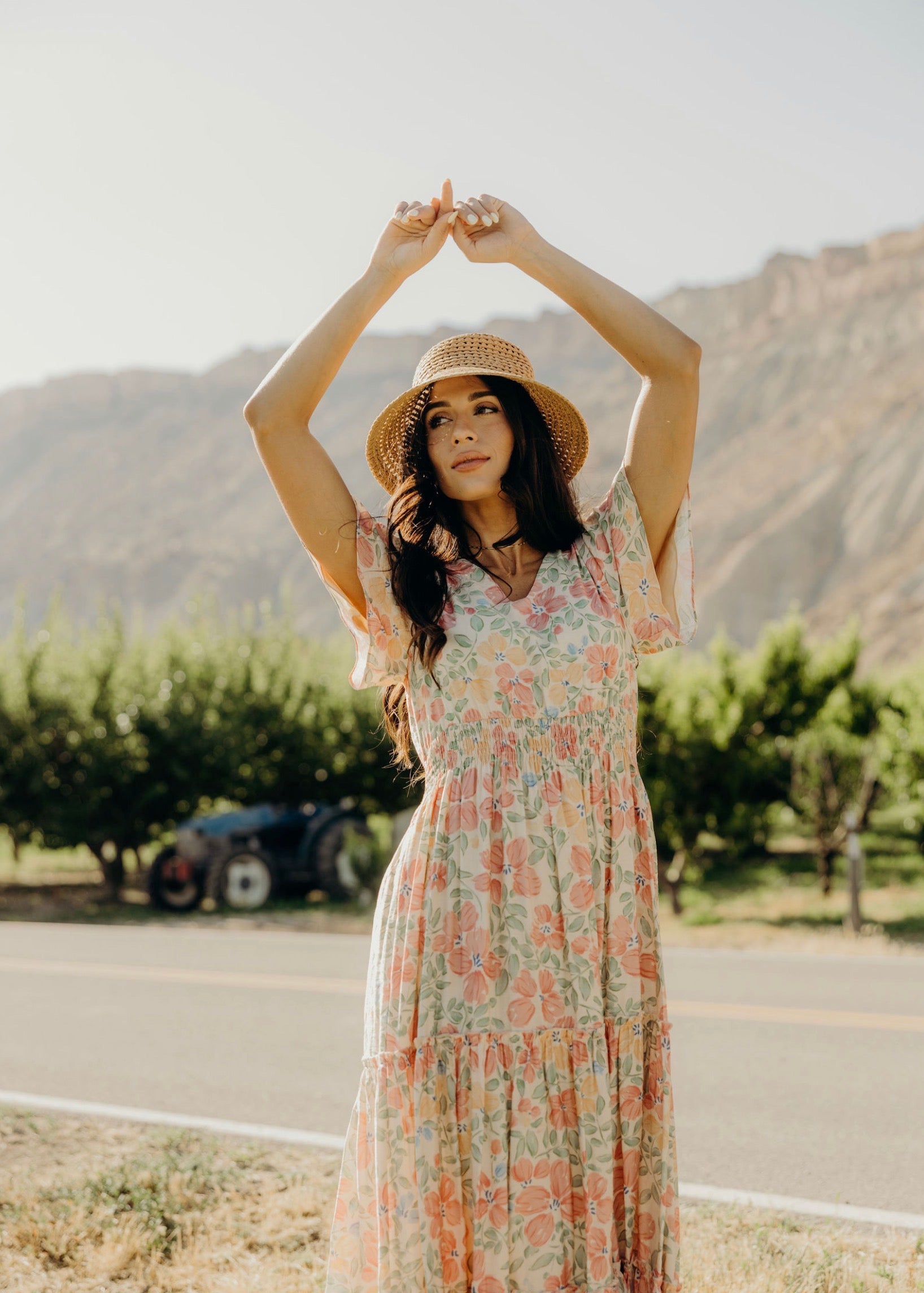 chinese dress ladies Eden modest maxi dress in spring sonata-NEW – JanieLanie
