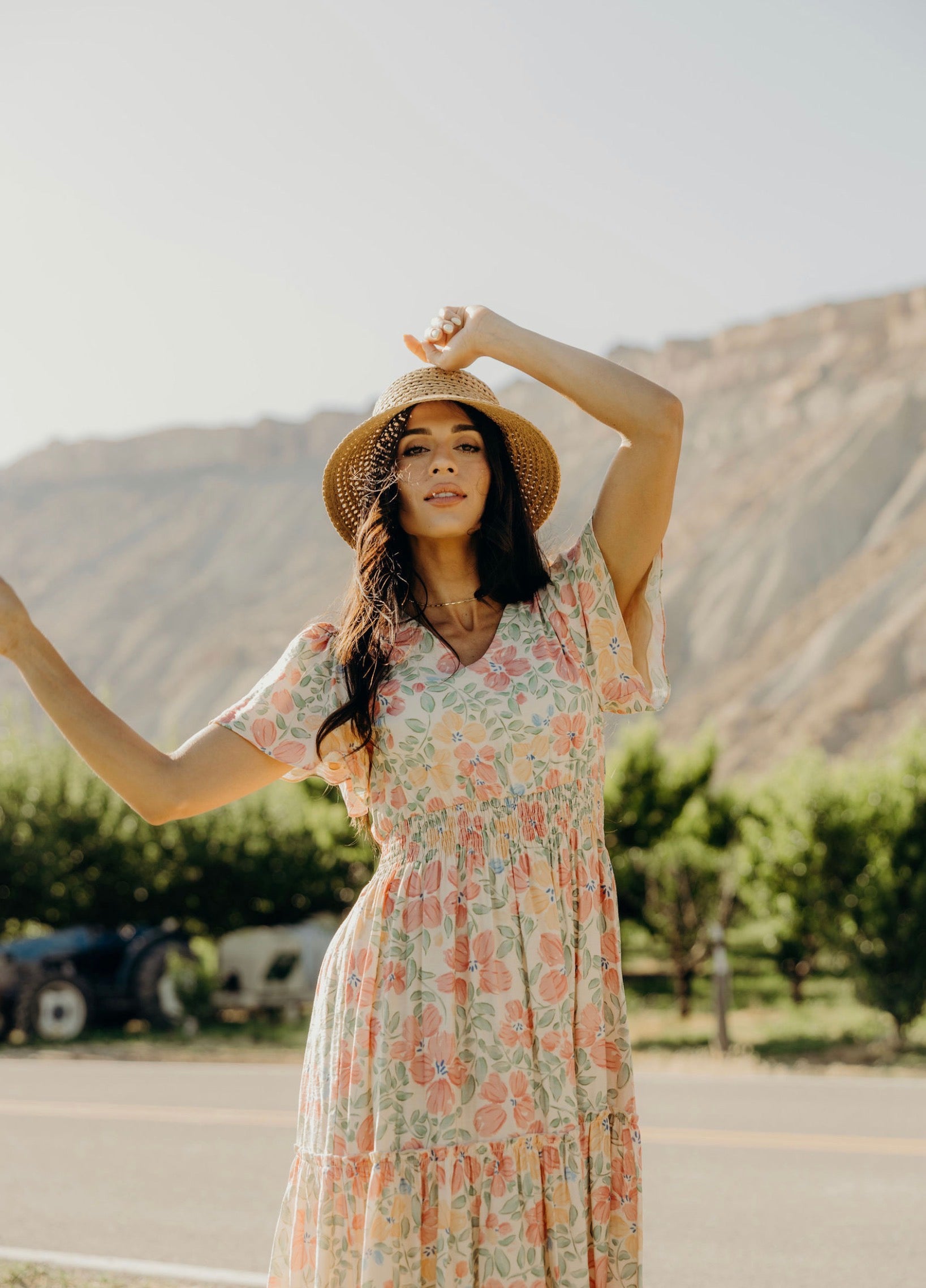 Eden modest maxi dress in spring sonata – JanieLanie Eden modest maxi dress in spring sonata – JanieLanie