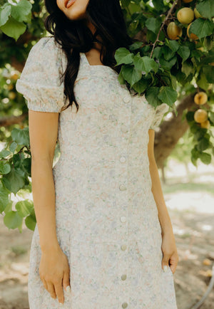 Elton modest midi dress in tulip-NEW