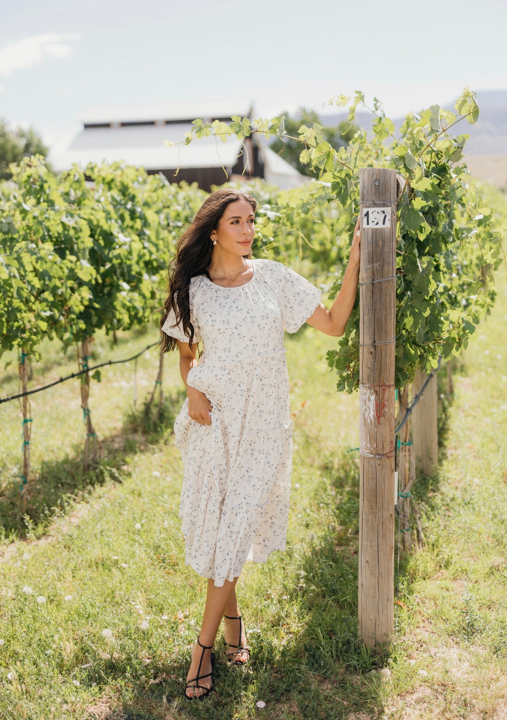 sachin and babi light blue dress Serena modest midi dress in endless day-NEW – JanieLanie