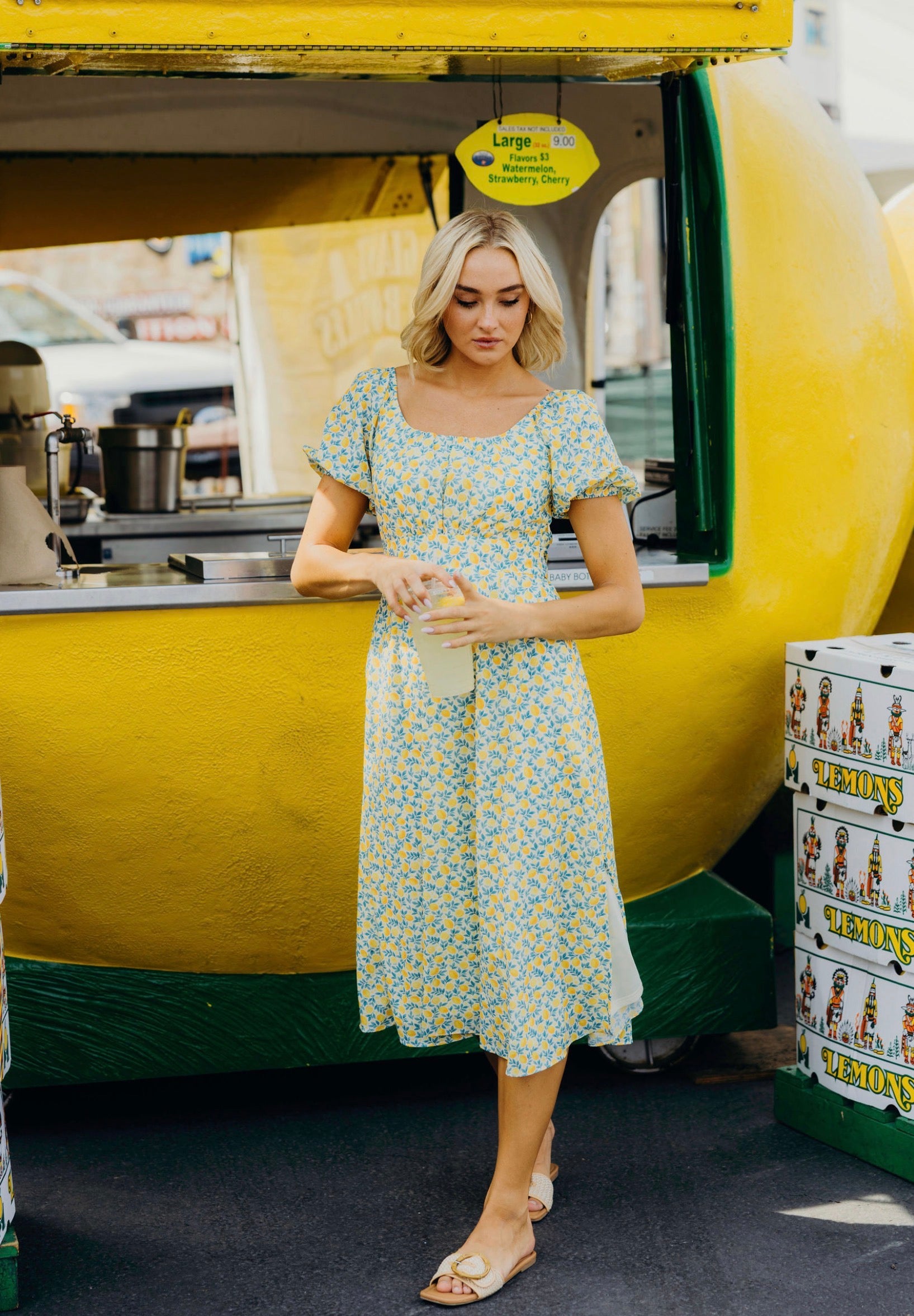 modest summer dresses casual Hillie modest midi dress-NEW – JanieLanie